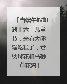 当端午假期遇上六一儿童节，来看大熊猫吃粽子，赏绣球花和马鞭草花海