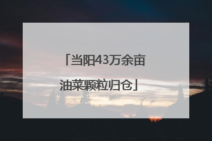 当阳43万余亩油菜颗粒归仓