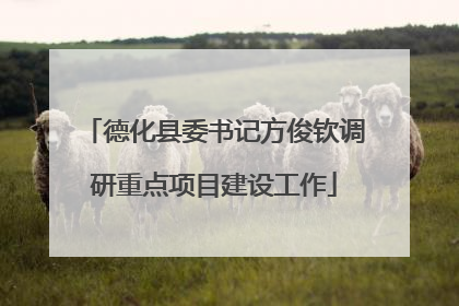 德化县委书记方俊钦调研重点项目建设工作