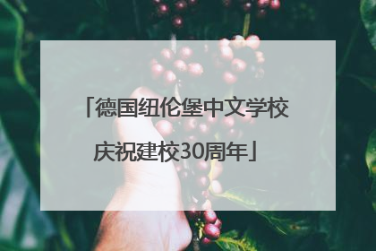 德国纽伦堡中文学校庆祝建校30周年