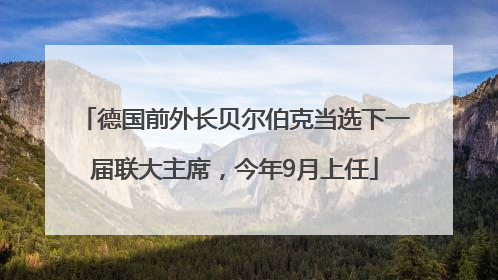 德国前外长贝尔伯克当选下一届联大主席，今年9月上任