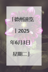 德州速览丨2025年6月3日 星期二