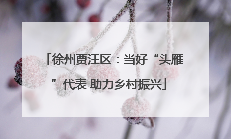 徐州贾汪区：当好“头雁”代表 助力乡村振兴