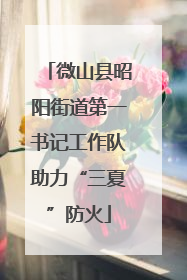 微山县昭阳街道第一书记工作队助力“三夏”防火