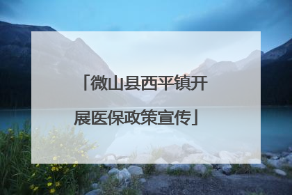 微山县西平镇开展医保政策宣传