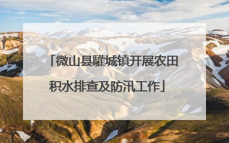 微山县驩城镇开展农田积水排查及防汛工作