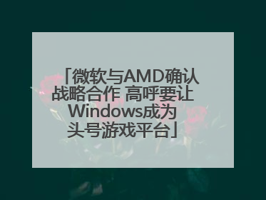 微软与AMD确认战略合作 高呼要让Windows成为头号游戏平台