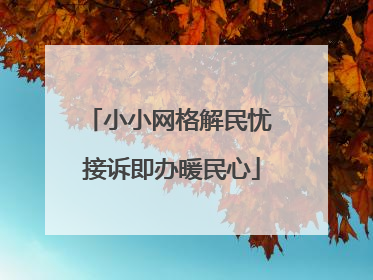 小小网格解民忧 接诉即办暖民心