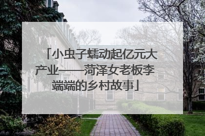 小虫子蠕动起亿元大产业——菏泽女老板李端端的乡村故事