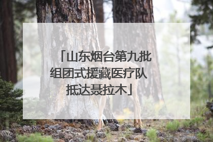山东烟台第九批组团式援藏医疗队抵达聂拉木
