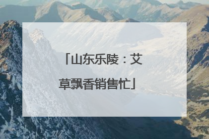 山东乐陵：艾草飘香销售忙