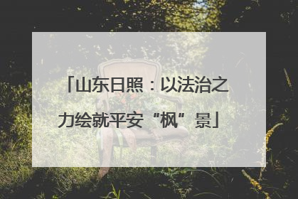 山东日照：以法治之力绘就平安“枫”景