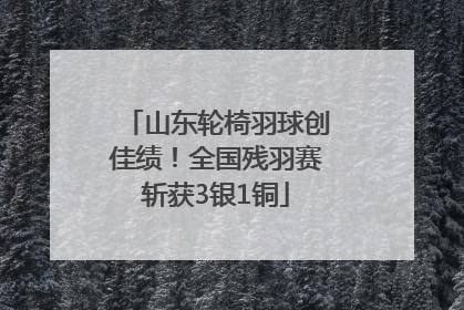 山东轮椅羽球创佳绩！全国残羽赛斩获3银1铜