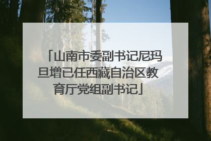 山南市委副书记尼玛旦增已任西藏自治区教育厅党组副书记