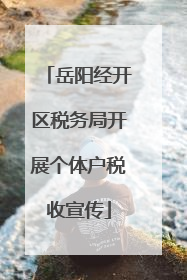 岳阳经开区税务局开展个体户税收宣传