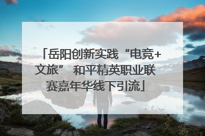 岳阳创新实践“电竞+文旅” 和平精英职业联赛嘉年华线下引流
