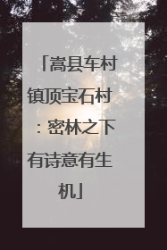 嵩县车村镇顶宝石村：密林之下有诗意有生机
