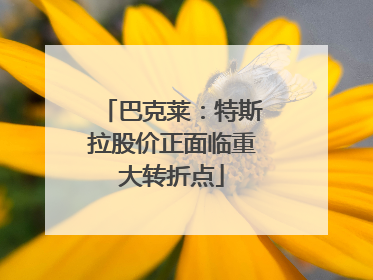 巴克莱：特斯拉股价正面临重大转折点