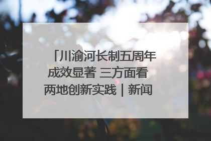 川渝河长制五周年成效显著 三方面看两地创新实践｜新闻发布最前线