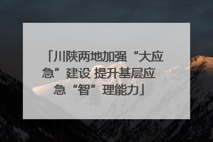 川陕两地加强“大应急”建设 提升基层应急“智”理能力