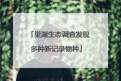 巢湖生态调查发现多种新记录物种