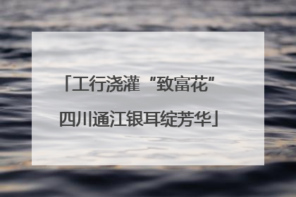 工行浇灌“致富花” 四川通江银耳绽芳华