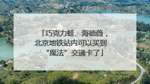 巧克力蛙、海德薇，北京地铁站内可以买到“魔法”交通卡了