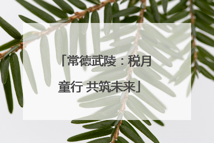 常德武陵：税月童行 共筑未来