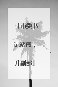 市委书记褚伟，升副部