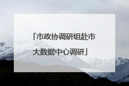 市政协调研组赴市大数据中心调研