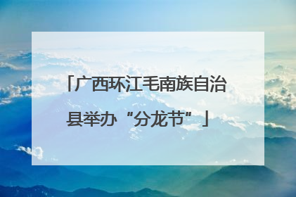 广西环江毛南族自治县举办“分龙节”