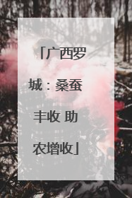 广西罗城：桑蚕丰收 助农增收