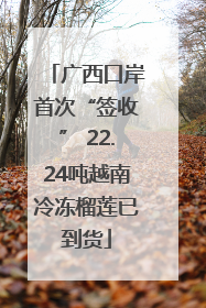 广西口岸首次“签收” 22.24吨越南冷冻榴莲已到货