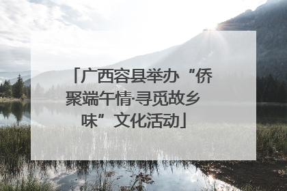 广西容县举办“侨聚端午情·寻觅故乡味”文化活动