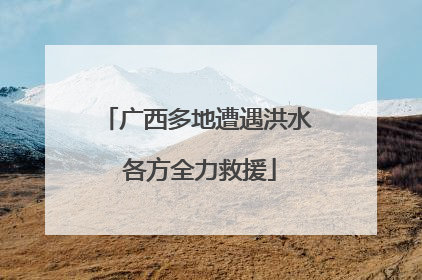 广西多地遭遇洪水 各方全力救援