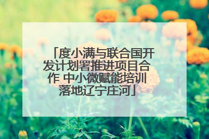 度小满与联合国开发计划署推进项目合作 中小微赋能培训落地辽宁庄河