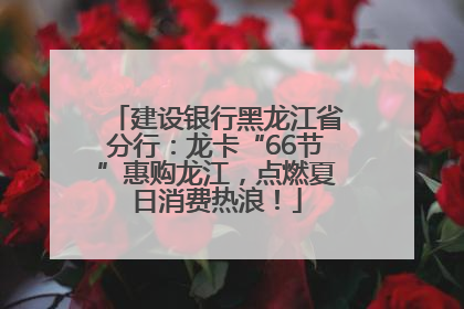 建设银行黑龙江省分行：龙卡“66节”惠购龙江，点燃夏日消费热浪！