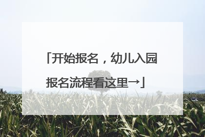 开始报名，幼儿入园报名流程看这里→
