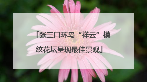 张三口环岛“祥云”模纹花坛呈现最佳景观
