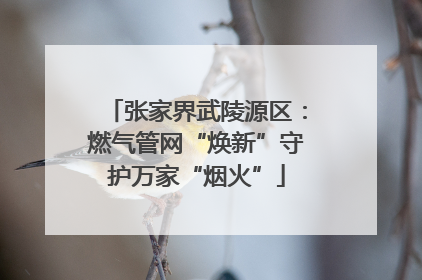 张家界武陵源区：燃气管网“焕新”守护万家“烟火”