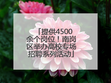 提供4500余个岗位！南岗区举办高校专场招聘系列活动