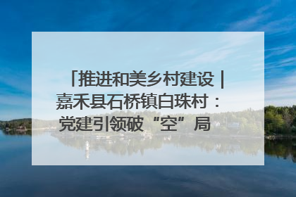 推进和美乡村建设｜嘉禾县石桥镇白珠村：党建引领破“空”局 乡贤聚力绘就新图景