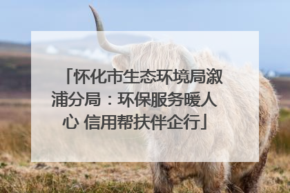 怀化市生态环境局溆浦分局：环保服务暖人心 信用帮扶伴企行