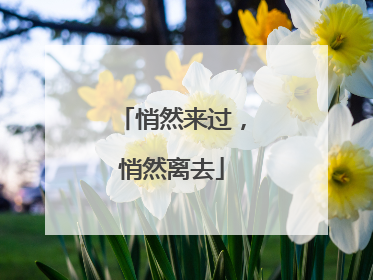 悄然来过，悄然离去