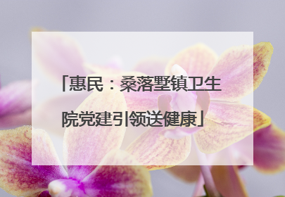 惠民：桑落墅镇卫生院党建引领送健康