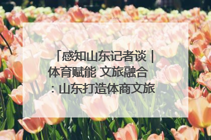 感知山东记者谈｜体育赋能 文旅融合：山东打造体商文旅融合发展新格局