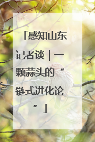 感知山东记者谈｜一颗蒜头的“链式进化论”
