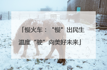 慢火车：“慢”出民生温度“驶”向美好未来