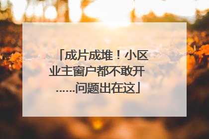 成片成堆！小区业主窗户都不敢开……问题出在这