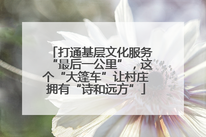 打通基层文化服务“最后一公里”,这个“大篷车”让村庄拥有“诗和远方”